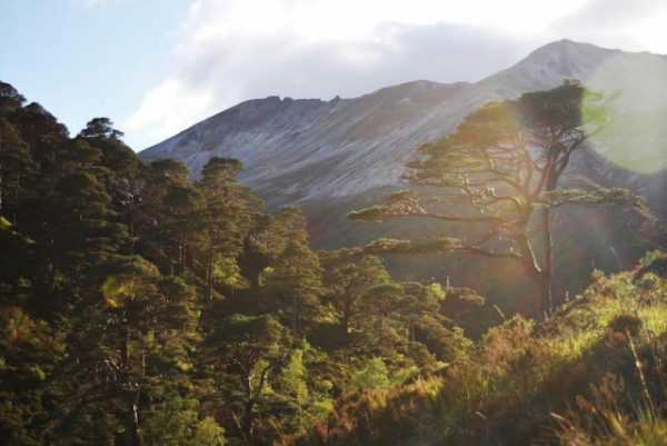 uk-s-first-nnr-celebrates-70th-anniversary-with-stunning-pictures-the